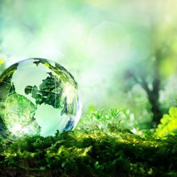 FAO names 2020 as the UN’s International Year of Plant Health