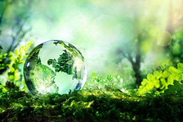 FAO names 2020 as the UN’s International Year of Plant Health