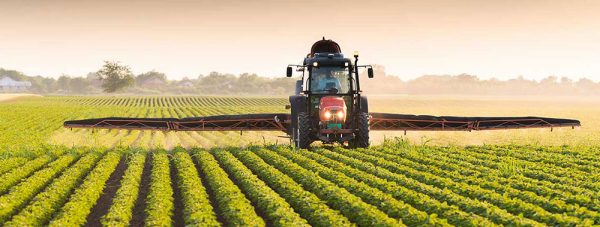 Behta agro-industry Corp cultivation,gardening شرکت کشت و صنعت بهتا ، کشاورزی ، زراعت ، باغبانی و صادارت محصولات کشاورزی و میوه جات