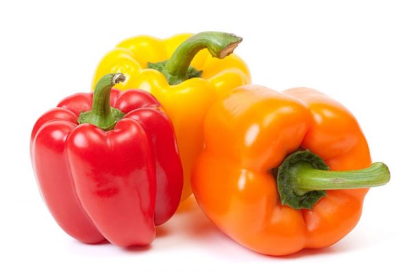 Behta agro-industry Corp cultivation,gardening شرکت کشت و صنعت بهتا ، کشاورزی ، زراعت ، باغبانی و صادارت محصولات کشاورزی و میوه جات